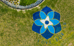 Love For VB Flower Painted on Hill